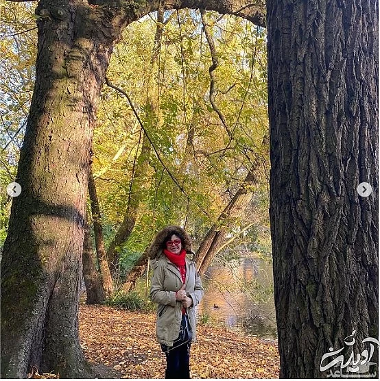 فلور نظری